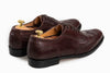 The Grand Wingtip Oxford - Oxblood Burgundy - Marquina Shoemaker
